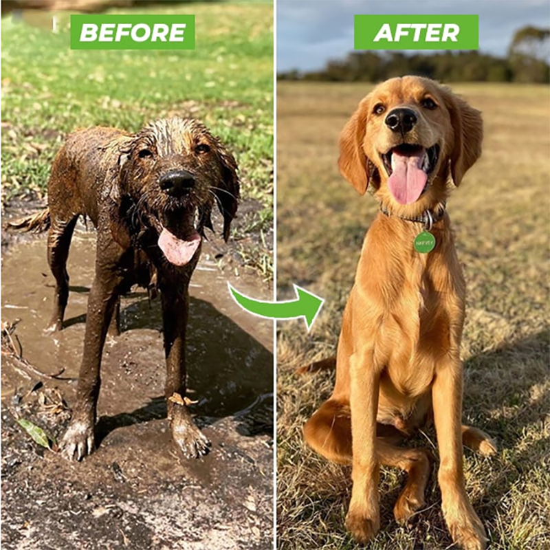 Feamex™ Timesaving Dog Shower