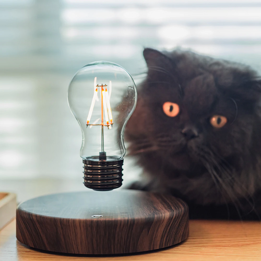 Magic Levitating Light Bulb